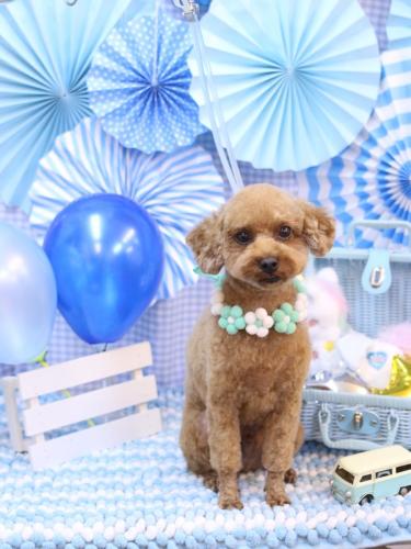 20231118リッチくん